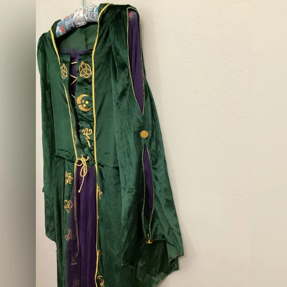 Hocus locus Disney costume